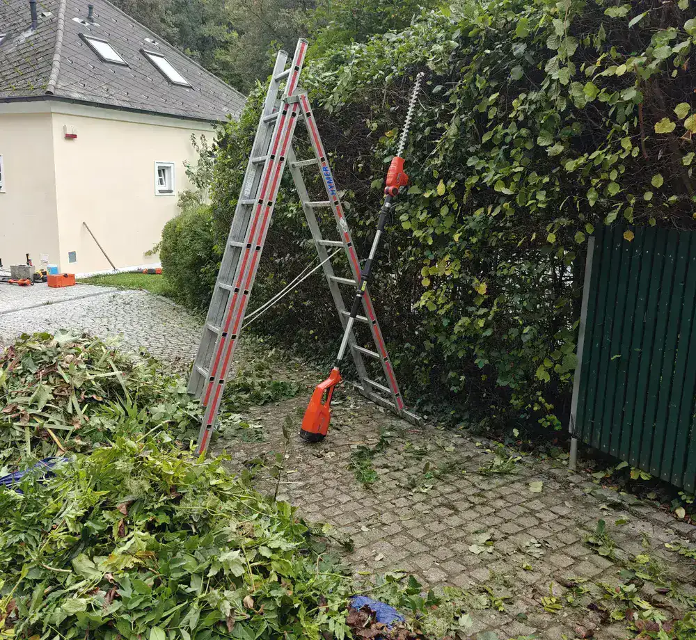 Hecke schneiden in Wien – Heckenschnitt durch HGP Haus & Gartenservice