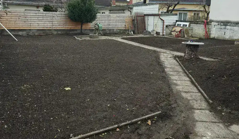 Verwilderter Garten vor der Rodung in Wien-Umgebung