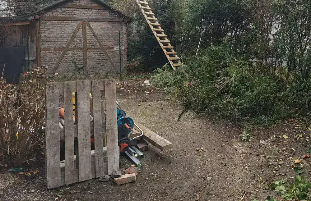 Gepflegter Gartenweg in Wien
