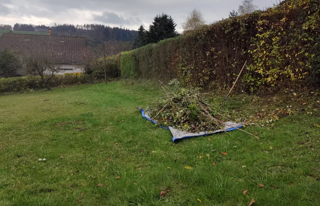Hecke Schneiden