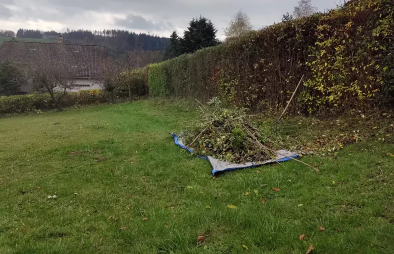 Hecke Schneiden