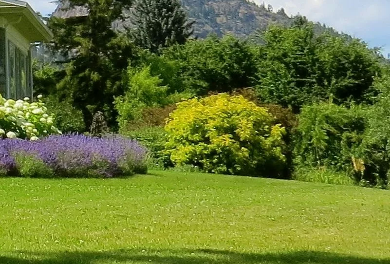 Haus und Gartenjservice