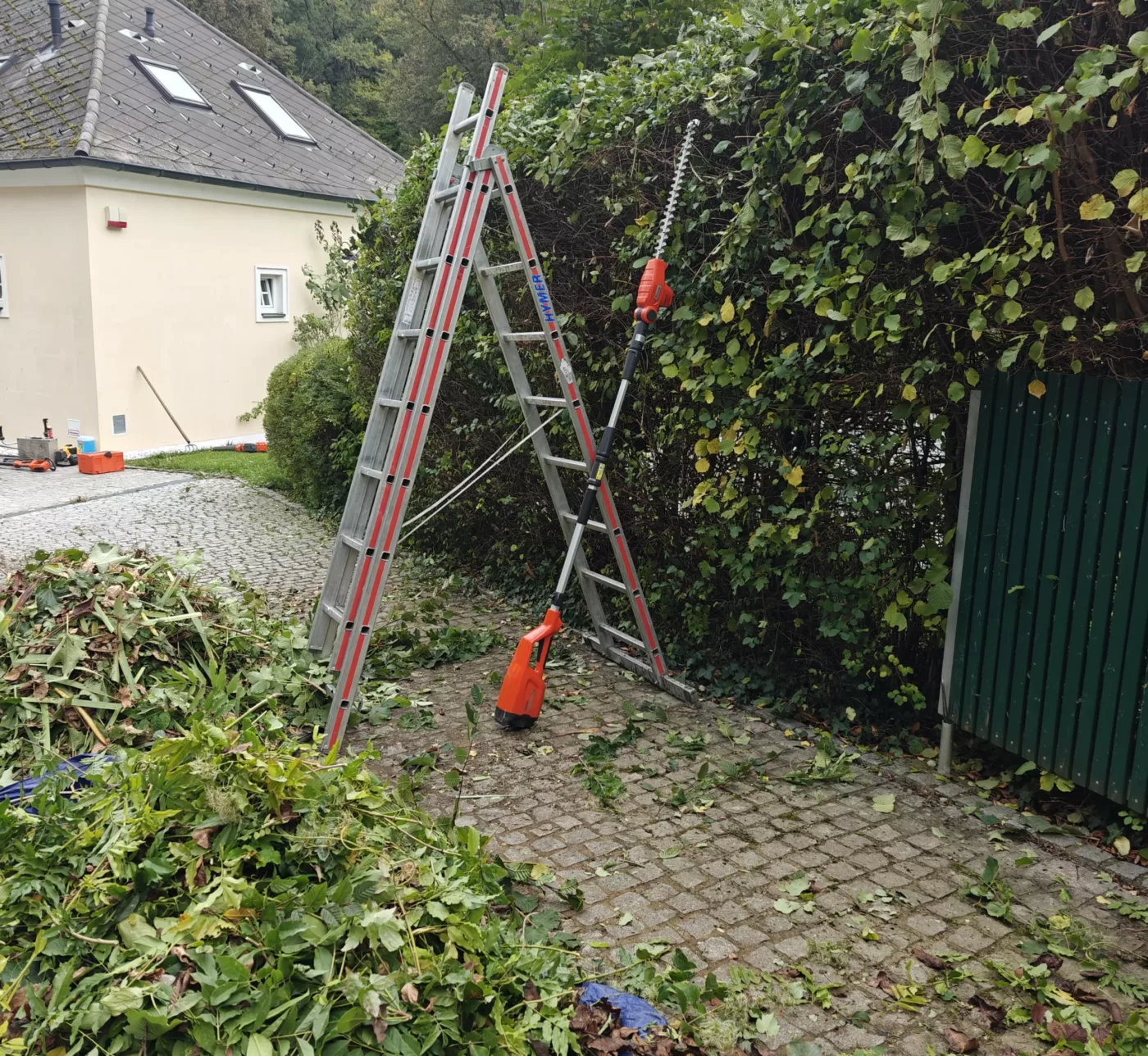 Hecken- und Sträucherschnitt