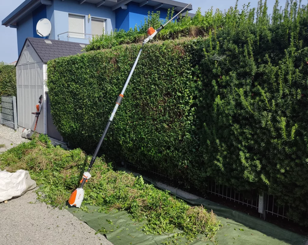 Hecke Schneiden