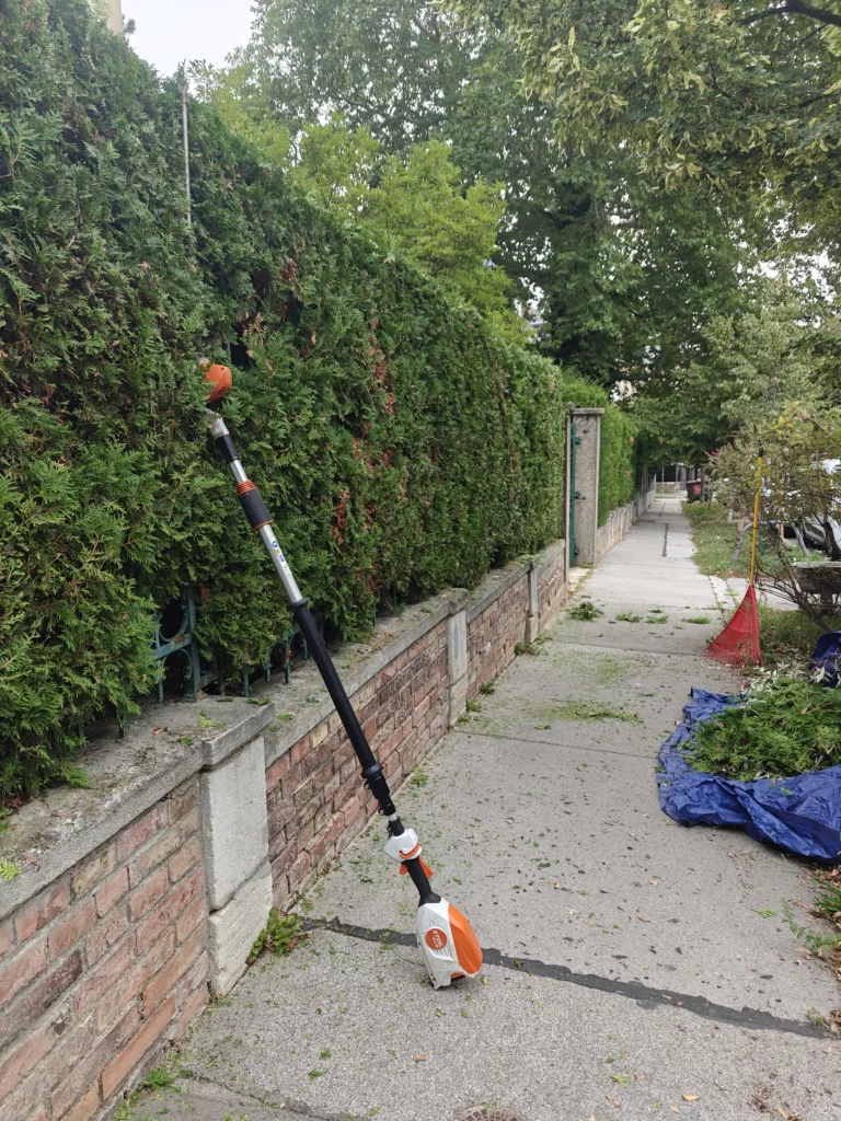 Hecke Schneiden