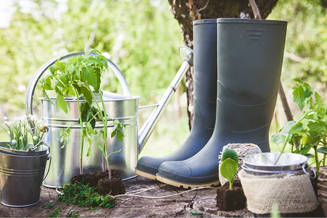 Nachhaltige gartenpflege