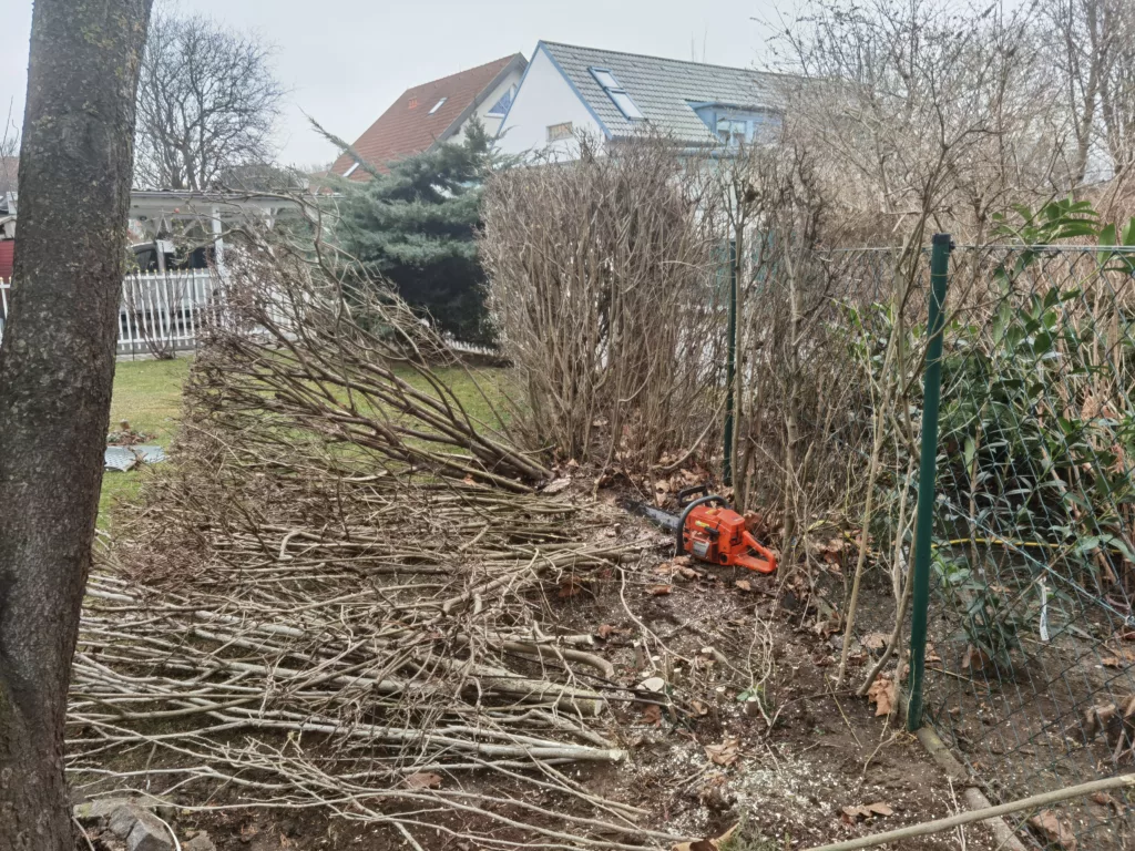 Hecken, Sträucher & Bewuchs entfernen