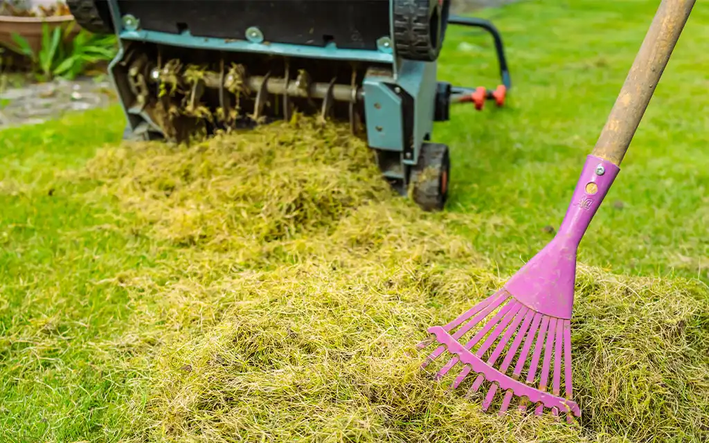 Rasen im fruehjahr vertikutieren
